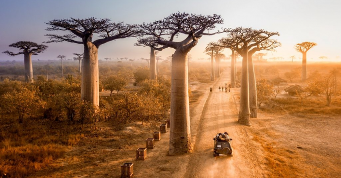 Miller et Bertaux посвятили Malagasy Мадагаскару