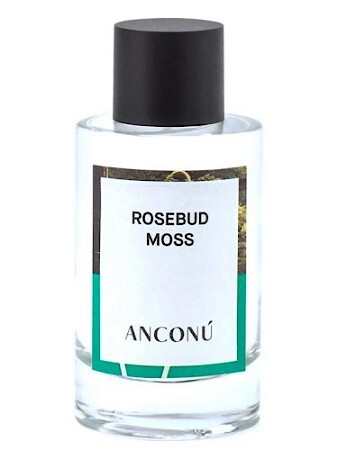 Anconu Rosebud Moss