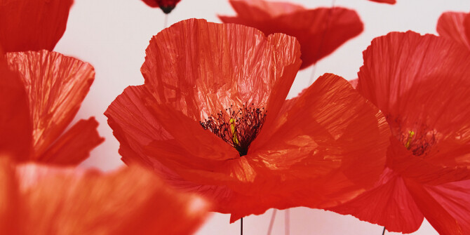 Kenzo представили новую версию Flower by Kenzo L'Absolue