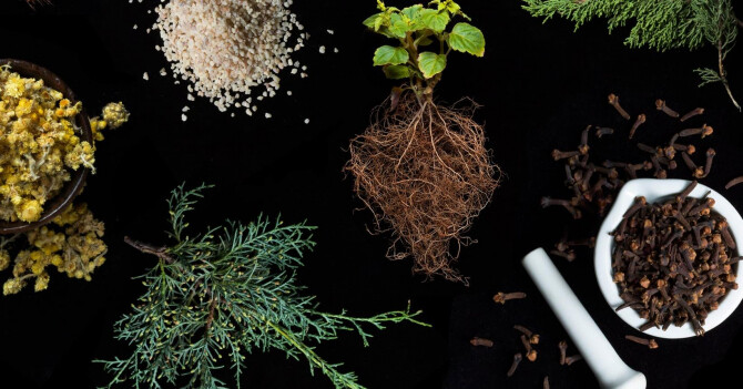 Брюс Болмс (Bruce Bolmes) о приманках и лицензированном использовании природных экстрактов