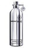 Montale Patchouli Leaves