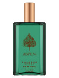 Coty Aspen For Men