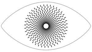 The Eyes Are Always There
