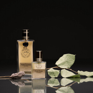Parfums de Nicolaï перезапускают европейский эксклюзив Bois Bélize Intense