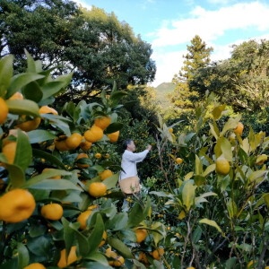 Полный обзор коллекции Nasomatto. Часть III: China White, Silver Musk, Duro, Absinth и Narcotic Venus