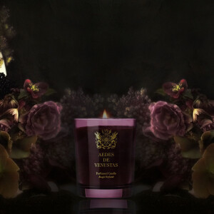 Ирис, копал, «царица ночи»: гид по коллекции Aedes de Venustas