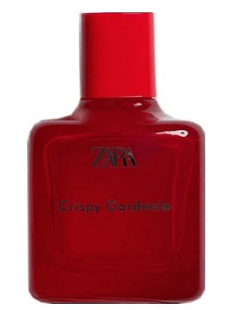 Zara Crispy Gardenia