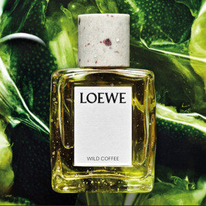 Пополнение в коллекции Crafted: Loewe выпустили аромат Wild Coffee