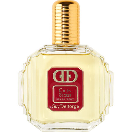 Guy Delforge Calin Secret