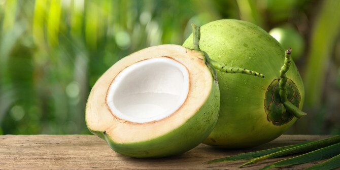 «Мечты об отпуске»: 7 Virtues выпустили летнюю новинку Coconut Sun