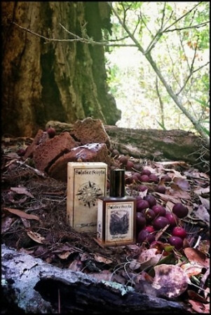 Solstice Scents Black Forest