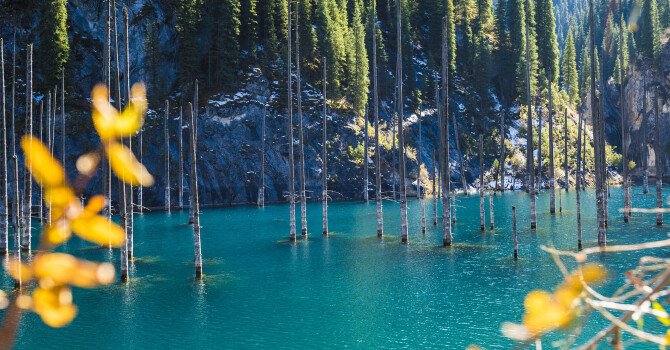 Степь, тюльпаны и магия лесных эльфов: 9 ароматов Aura of Kazakhstan 