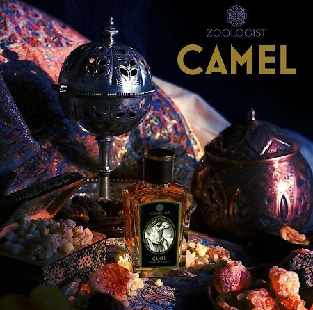 camel by zoologist