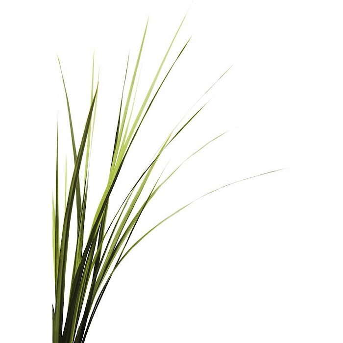 Новости Аромо: новая команда и изменения на сайте