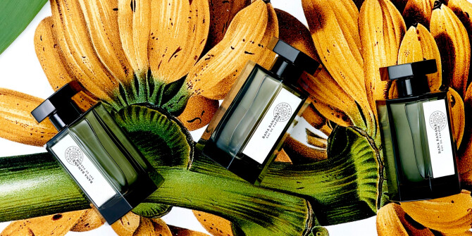 От кукурузы до кавы: 6 небанальных гурманских ароматов