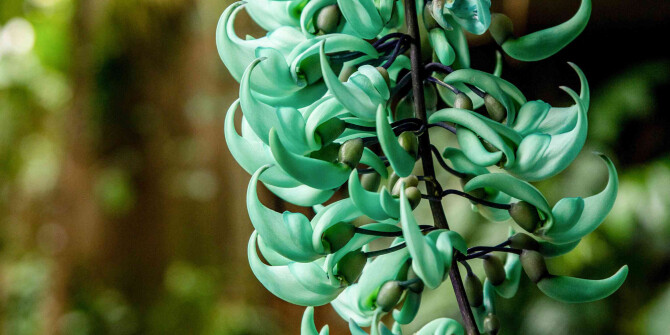 Jade Vines от Régime des Fleurs: "каскады изумрудных цветов" и тропический туман