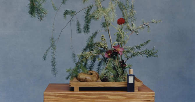 Месяц на Aromo: фрукты, яркие оттенки, лучшее в блогах