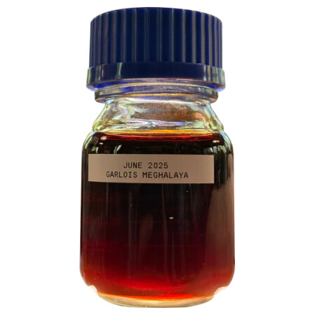 The Rising Phoenix Perfumery Garlois 2025