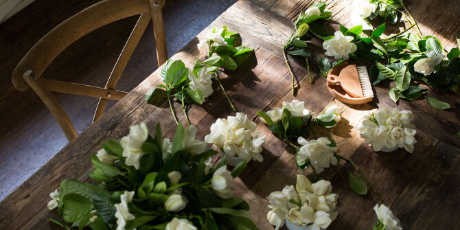 Flower Power: 5 ароматов с нотой гардении, классических и роскошных