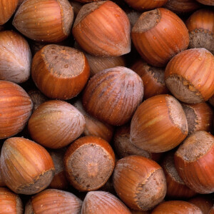 Антуан Ли составил для Les Indemodables экологичный аромат Patchouli Noisette