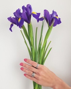 В поисках идеального ириса.