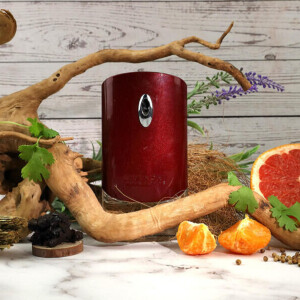 Givenchy Pour Homme - Бестселлер вне времени