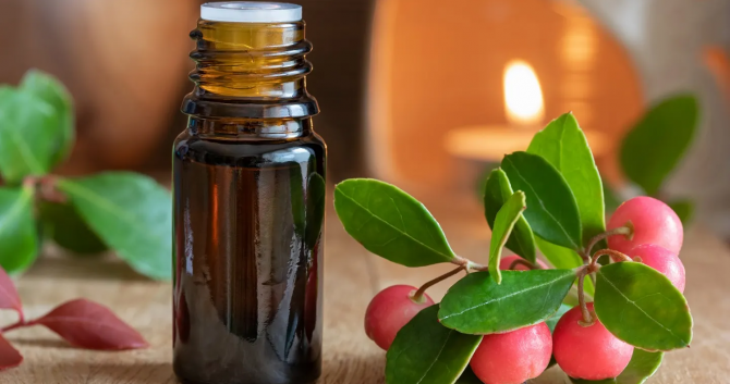 Масло циперуса