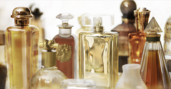 Жанн-Мари Фожье проведёт в Москве лекцию о шипрах