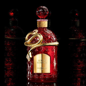 Месяц на Aromo: первые релизы 2025 года, эксклюзивы и отечественные дебюты