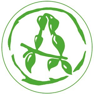 Acidica Perfumes