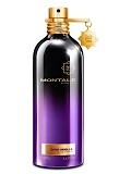 Montale Dark Vanilla