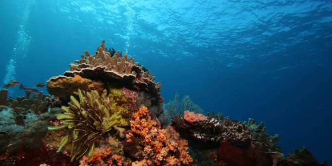 На дне бездны: L'Artisan Parfumeur выпустили 33 Abyssae