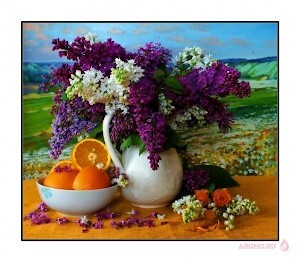 Моя любимая сирень в апельсинках - Orange Blossom Jo Malone