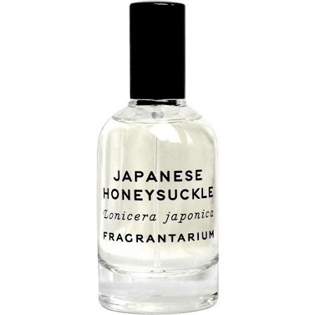 Fragrantarium Japanese Honeysuckle