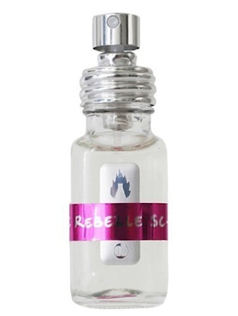 What We Do Is Secret / A Lab on Fire Rose Rebelle