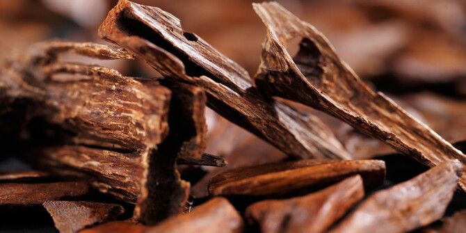 Gritti анонсировали Florian: современный взгляд на классический удовый аромат