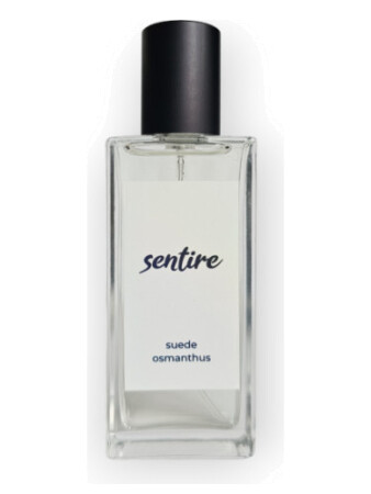 Sentire Suede Osmanthus