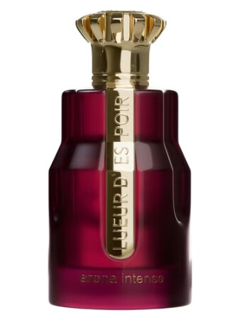 Paris Corner Lueur d'Espoir Arena Intense