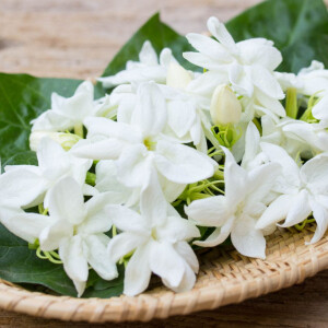 ВВС выпустили документальный фильм «Perfume’s Dark Secret»