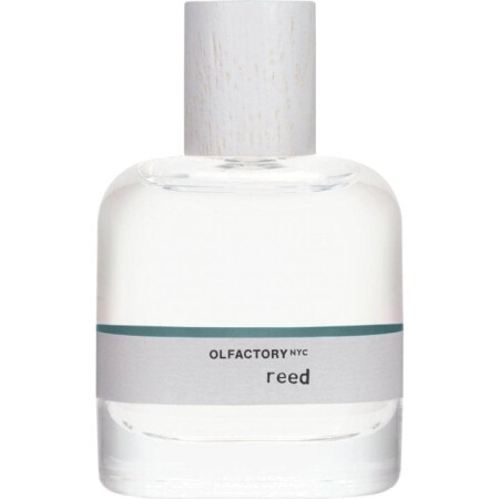 Olfactory NYC Reed
