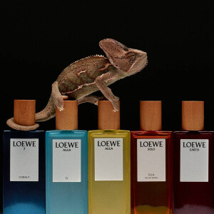 Loewe выпустили Solo Ella и Esencia в формате Eau de Parfum Elixir