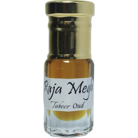Tabeer Raja Megh