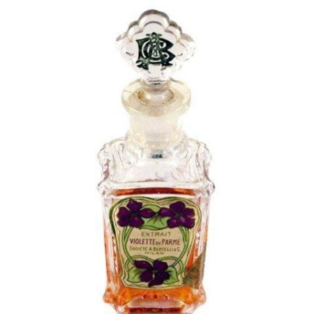 Bertelli Violette de Parme