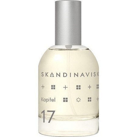 Skandinavisk Kapitel 17
