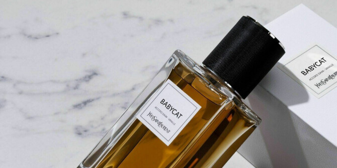 Yves Saint Laurent посвятили Babycat леопардовому принту