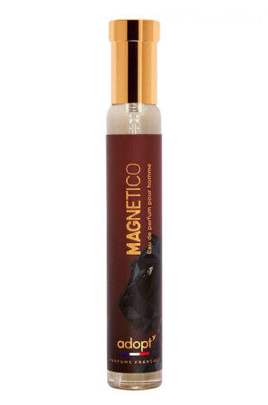 Adopt Magnetico