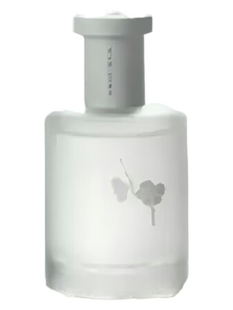 Man Song 慢宋 Moonlight in Snow 雪月凝香