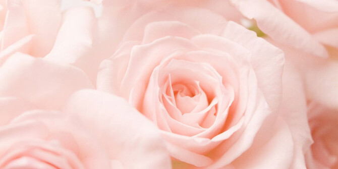 Windsor's Soap посвятили розе новую серию 5 o'clock