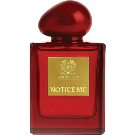Amir Oud Notice Me
