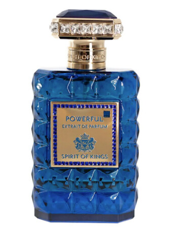 Spirit Of Kings Powerful